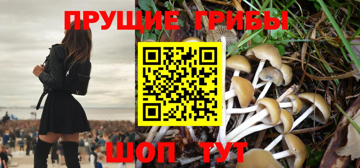 где найти наркотики  Псилоцибиновые грибы прущие грибы  Вход с VPN  Протвино 
